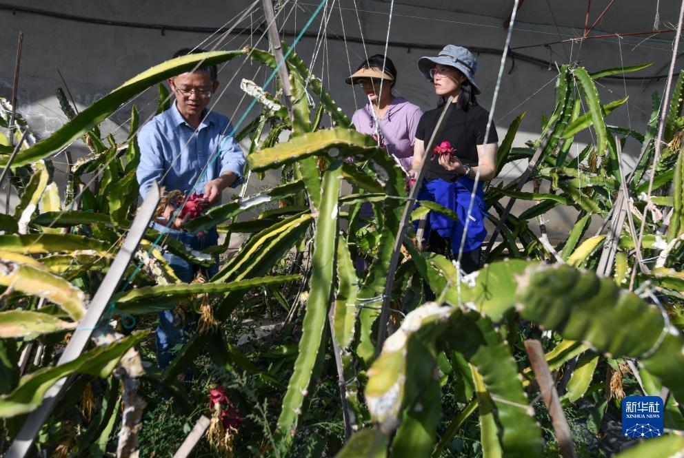 利记官网注册网